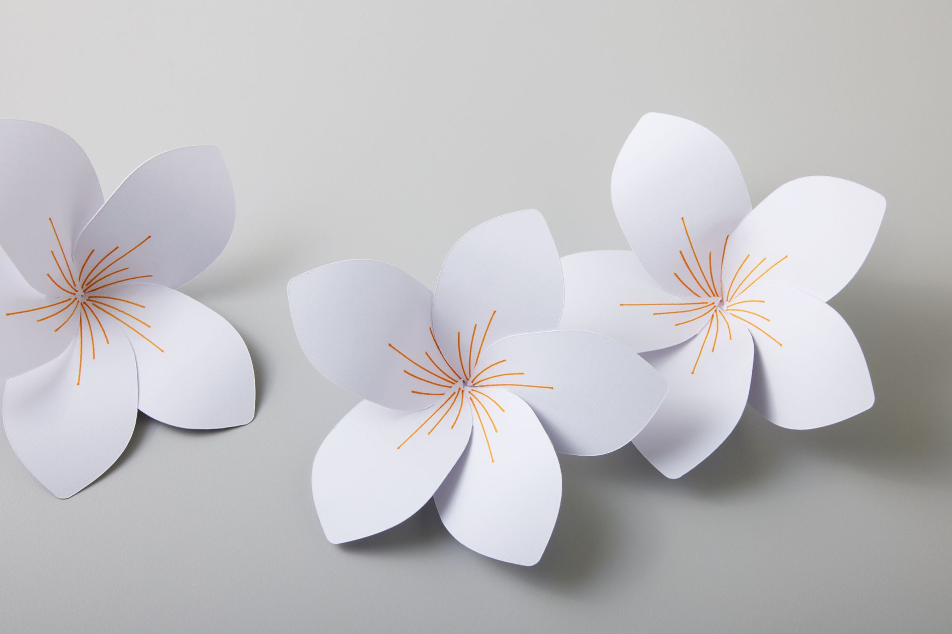 Cricut Design Space