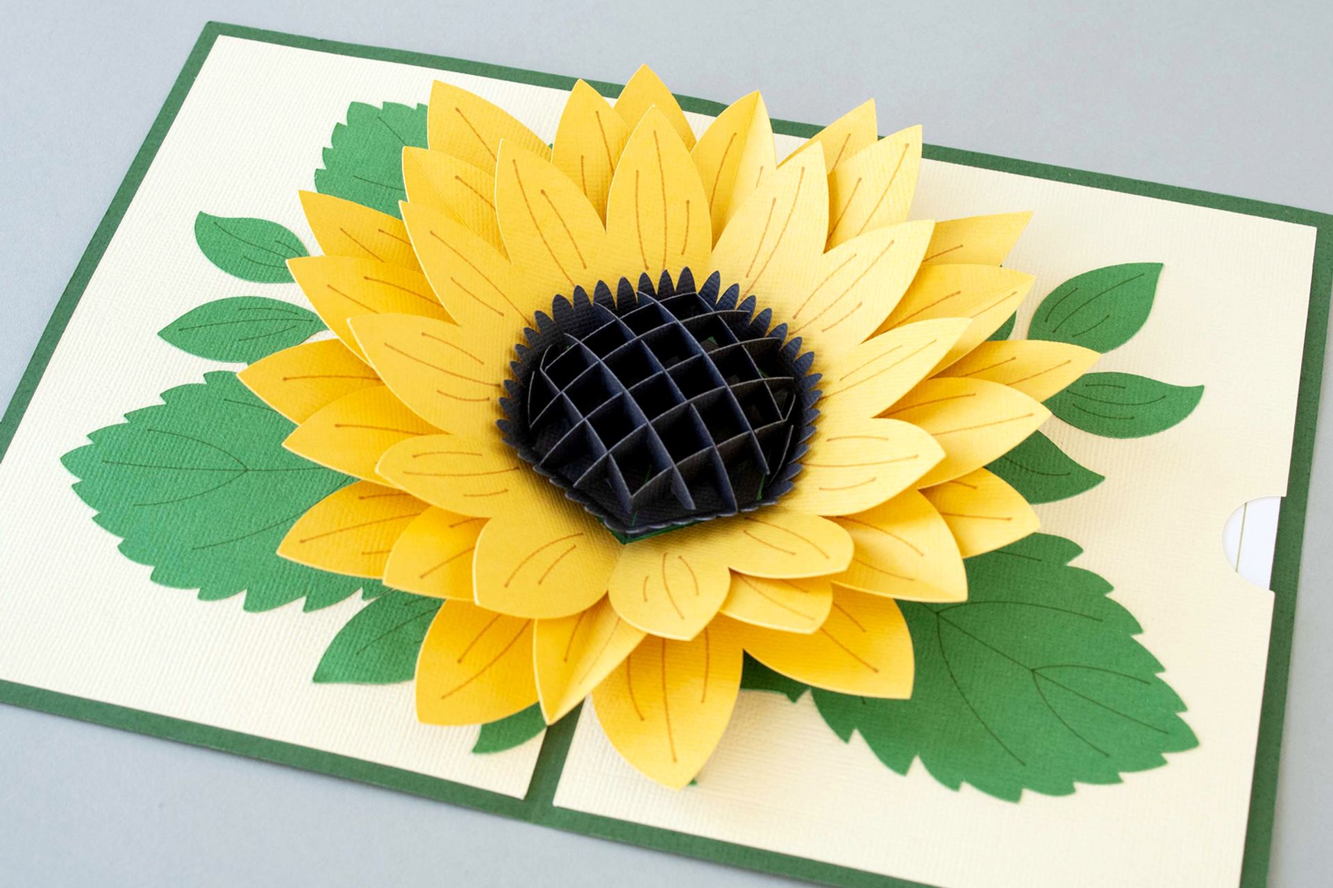 Cricut Design Space